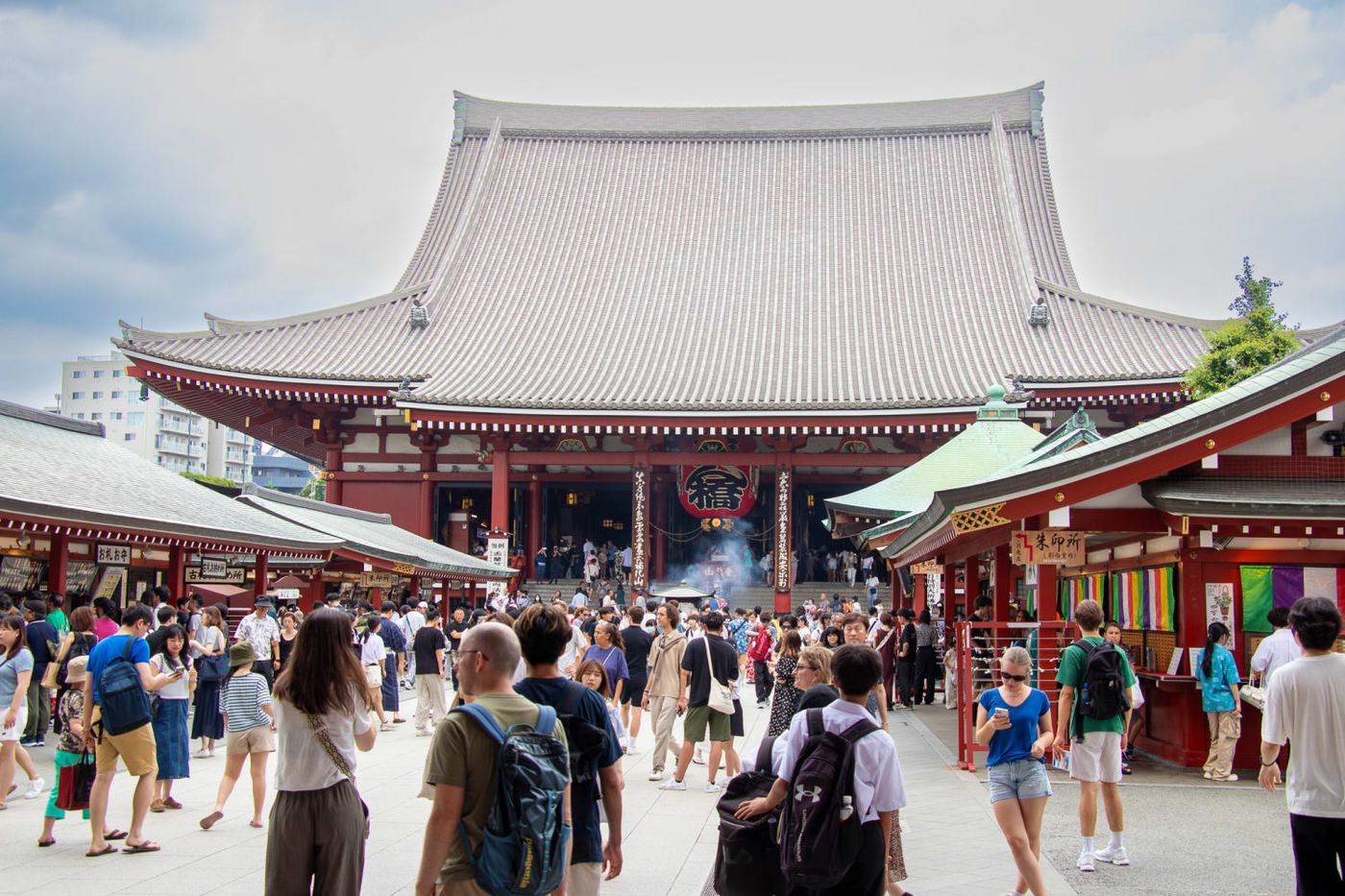 Master Tokyo's Must-Sees: 5-hour Tsukiji, Akihabara & Asakusa Highlights Tour