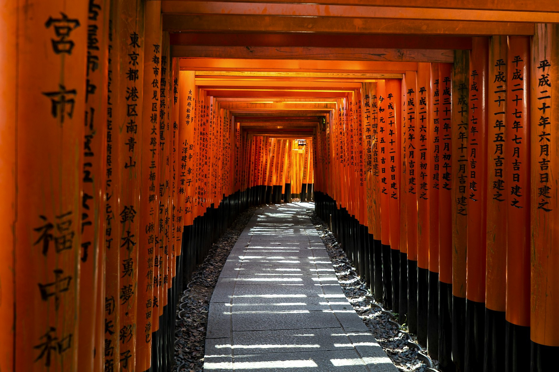 Endless vermilion torii gates at Fushimi Inari Shrine, Kyoto — Japan Golden Route tour
