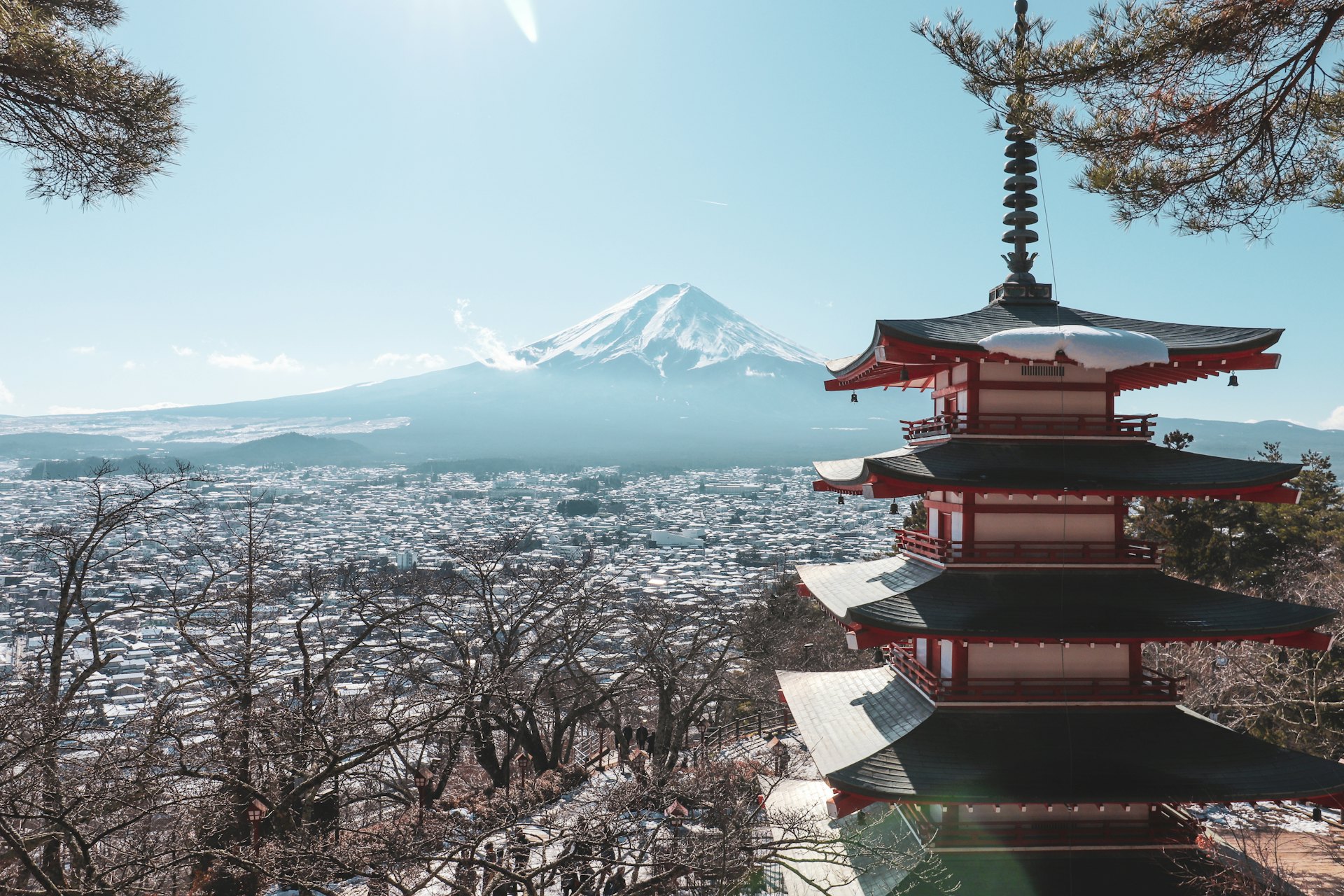Cherry blossoms with Mount Fuji and a pagoda — Japan sakura tour
